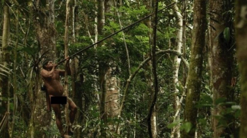 Un Huaorani cazando en la Amazonía 