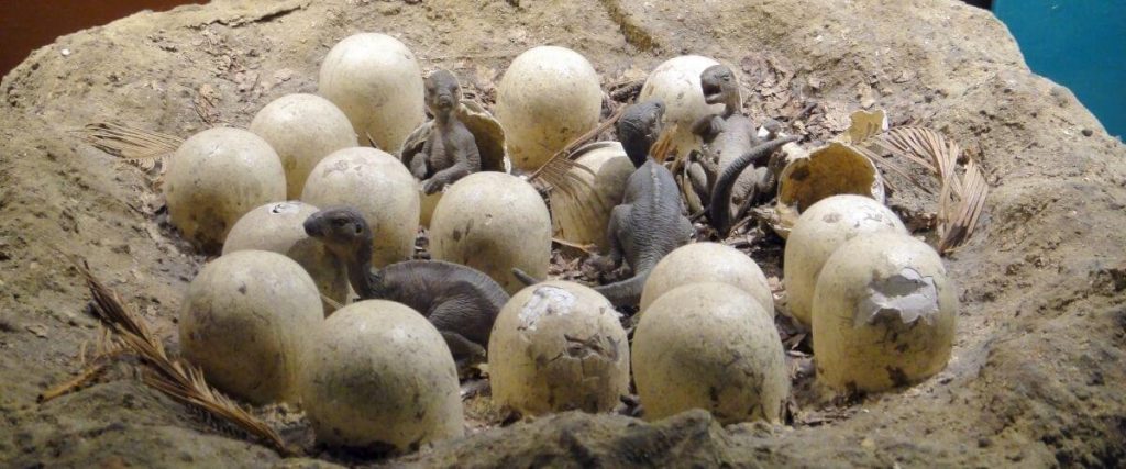 Investigadores descubren una «guardería» de dinosaurios en el Ártico