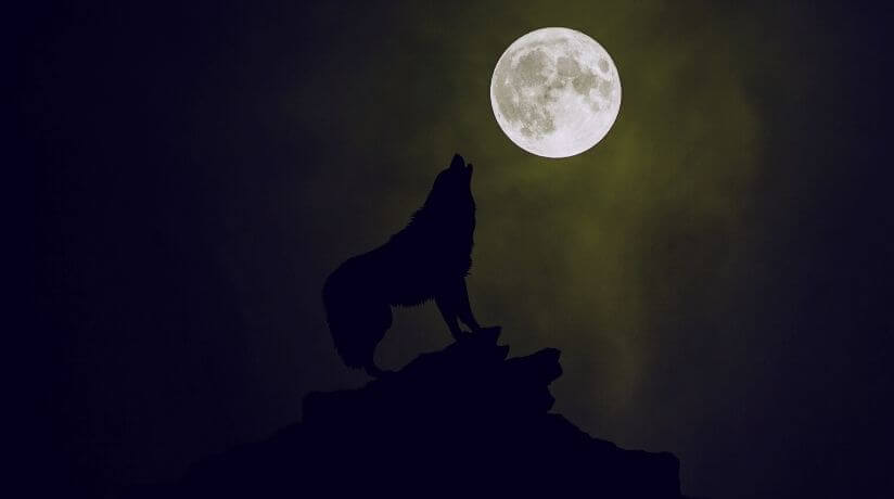 Luna llena del Lobo