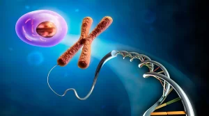 Curso gratuito: Introducción a la genética y la evolución
