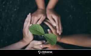 Descubre cómo elegir el mejor abono para cultivar árboles frutales