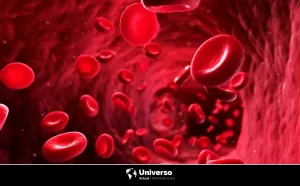Desintoxica tu organismo con estos alimentos que purifican la sangre