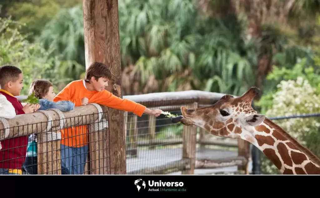 Zoológico de Zacango