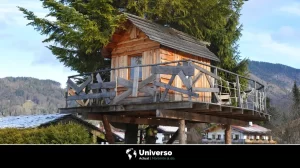 Seelbach: el peculiar pueblo alemán con casas en los árboles