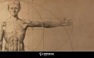 ¿Que es el diseño humano y por qué es tan importante entenderlo?