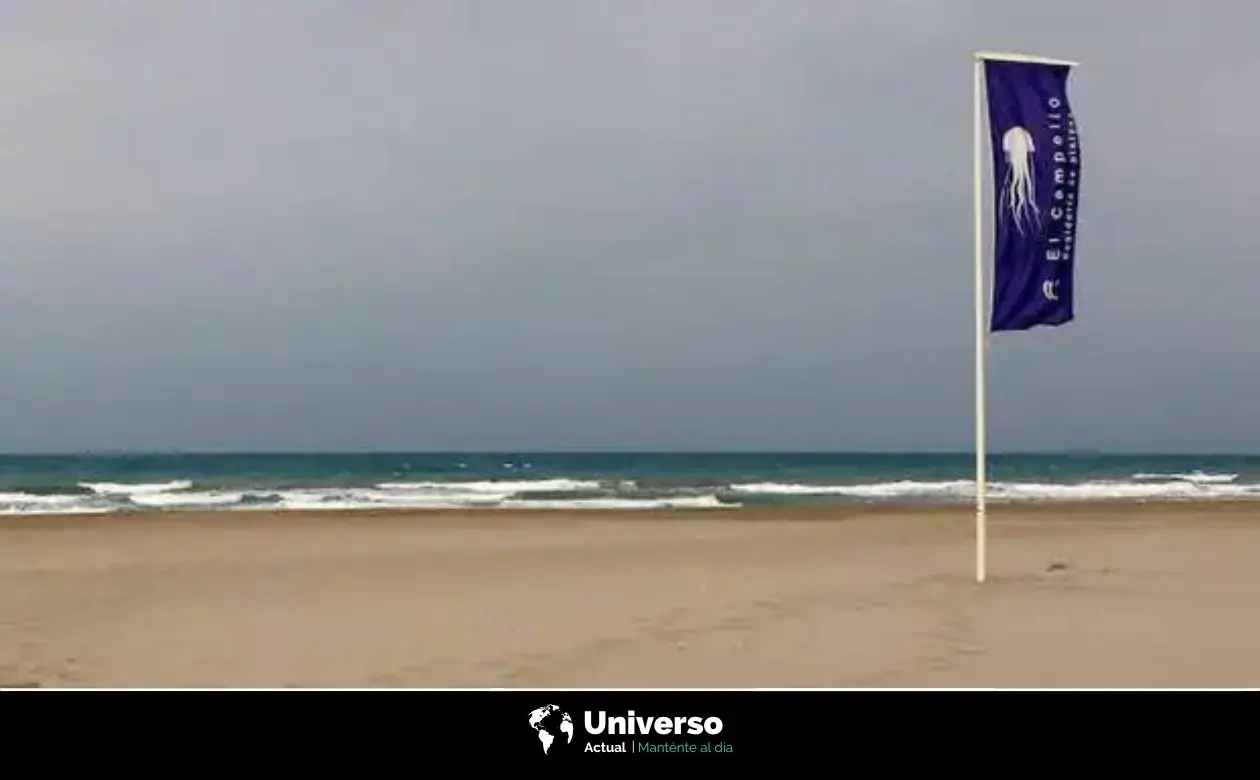 Bandera morada en la playa