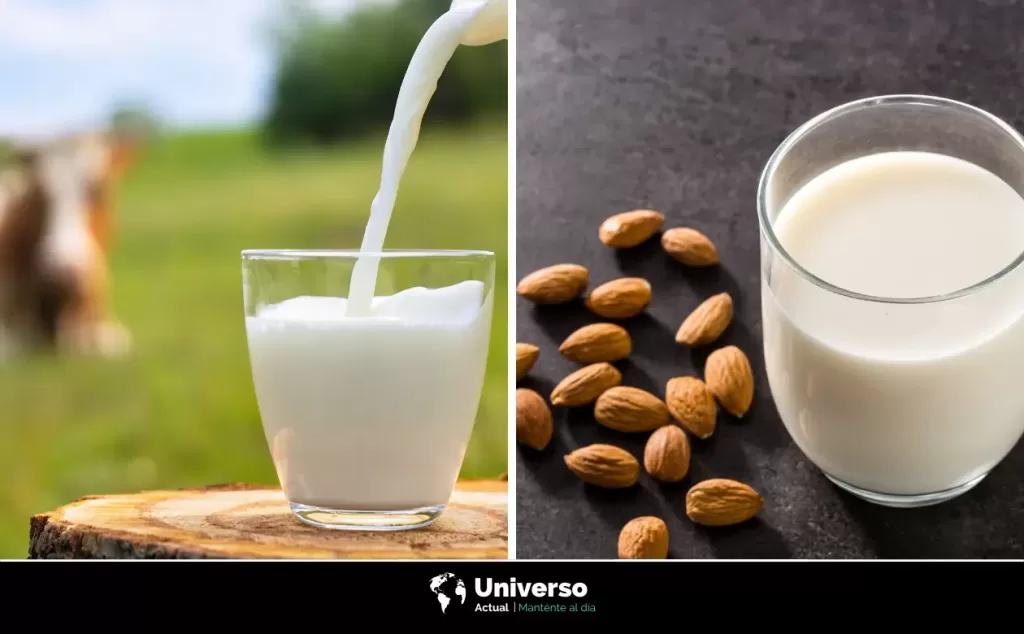 Diferencias entre leche vegetal y leche de vaca