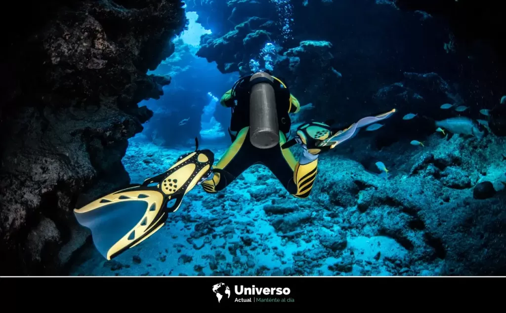 Explorando la exótica naturaleza de los Lagos de salmuera