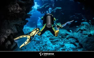 Explorando la exótica naturaleza de los Lagos de salmuera