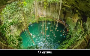 Explorando los 5 mejores cenotes de Yucatán