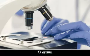 Microscopios de campo claro: ¿Qué son y para qué se usan?