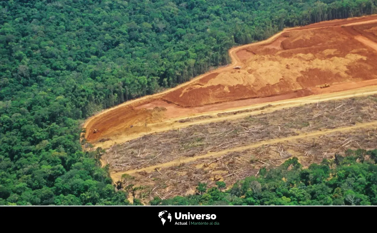 Deforestacion.