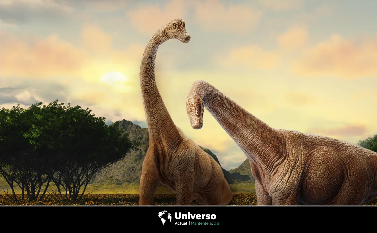 Cuánto vivían los dinosaurios