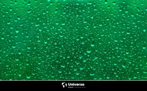 ¿Qué es la lluvia ácida? Consecuencias en el medio ambiente