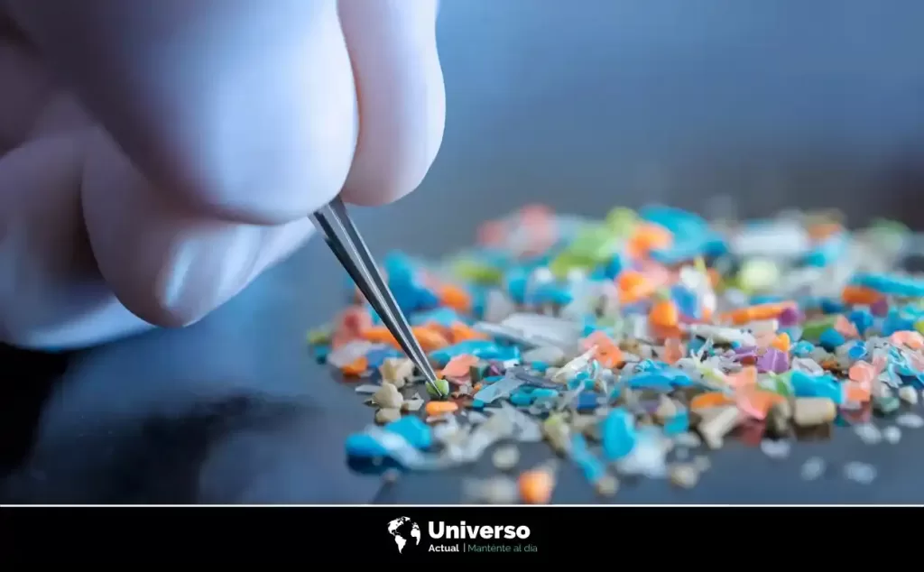 ¿Qué son los nanoplásticos y cómo afectan el medio ambiente