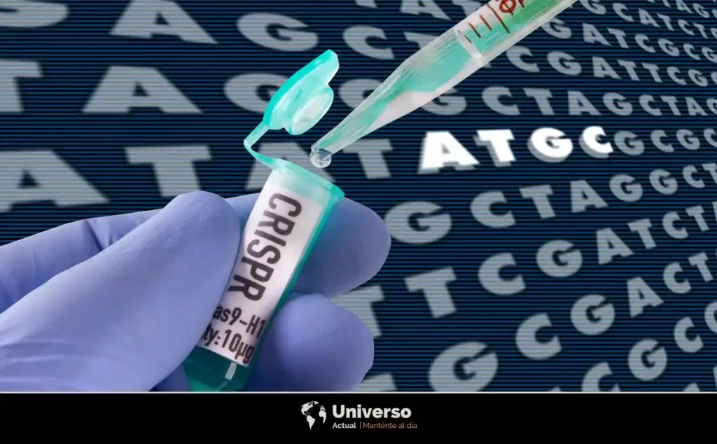 ¿Qué es CRISPR? Lo esencial que necesitas entender