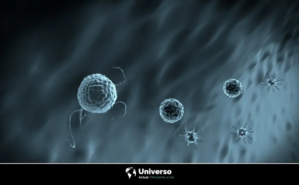 ¿Hay virus en el espacio?