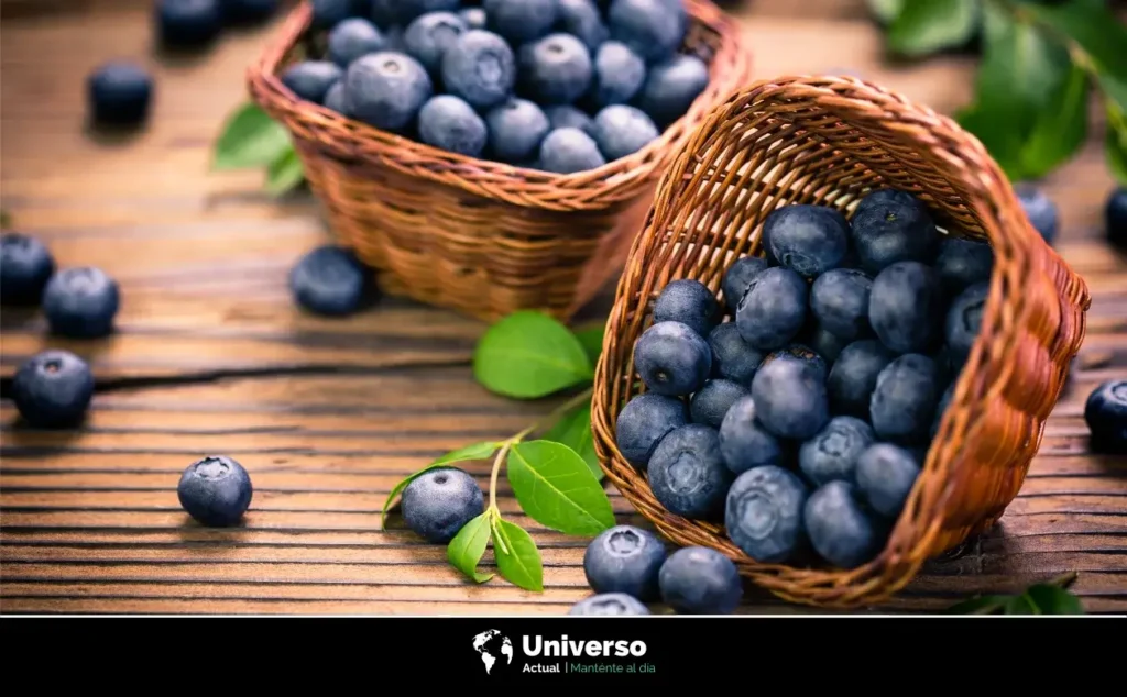El poder antioxidante de los arándanos