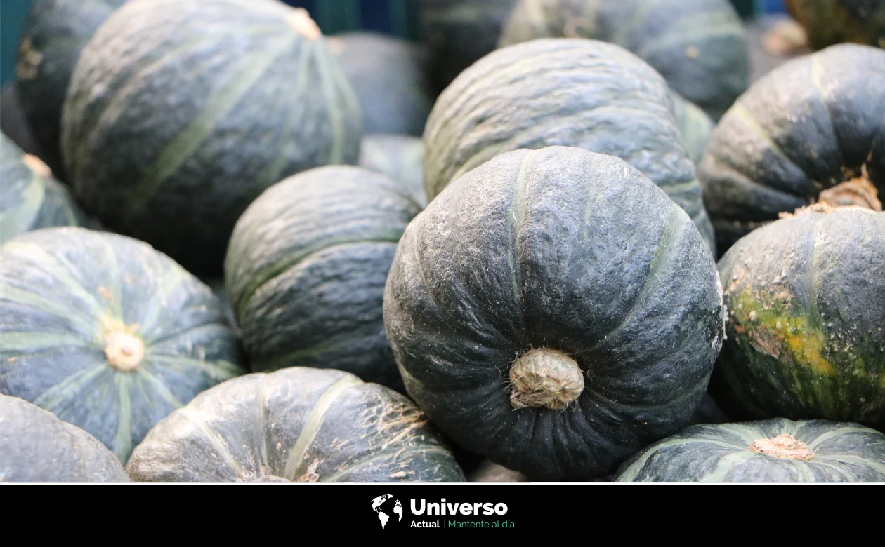 Diuréticos naturales