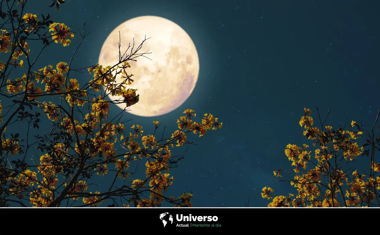 El poder de la luna llena