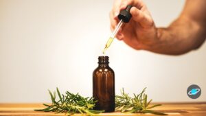 Aceite de romero para la caída del cabello: qué demuestran de verdad los estudios