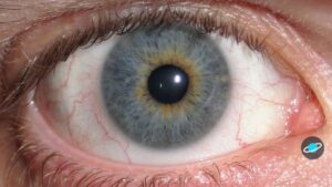 Primer plano de un ojo humano