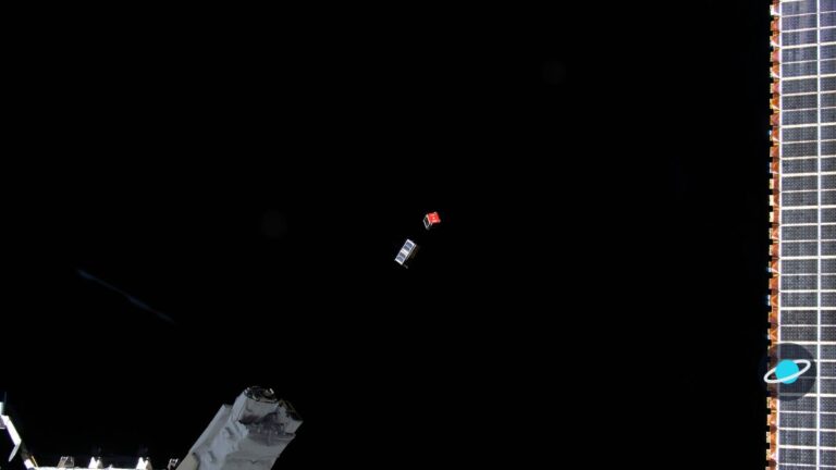 Crew-13 viaja a la Estación Espacial: corazón, párkinson y cultivos en seis meses de ciencia
