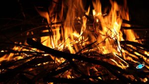 Hoguera encendida con troncos de leña y llamas altas