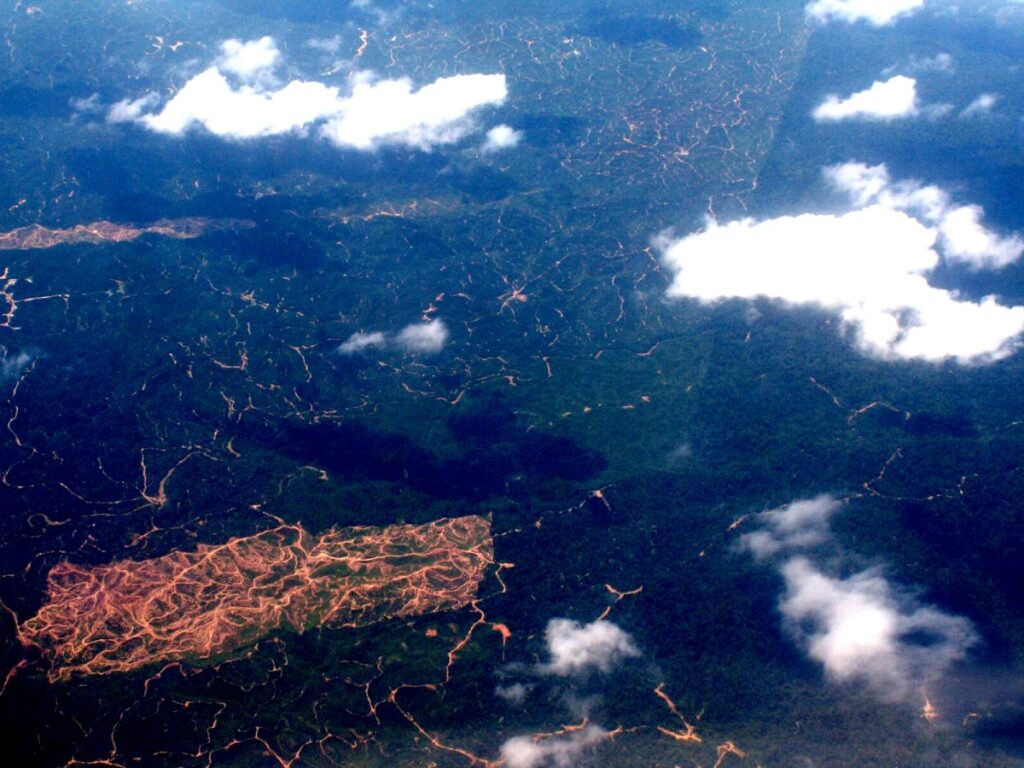 Vista aérea de un bosque con una zona deforestada