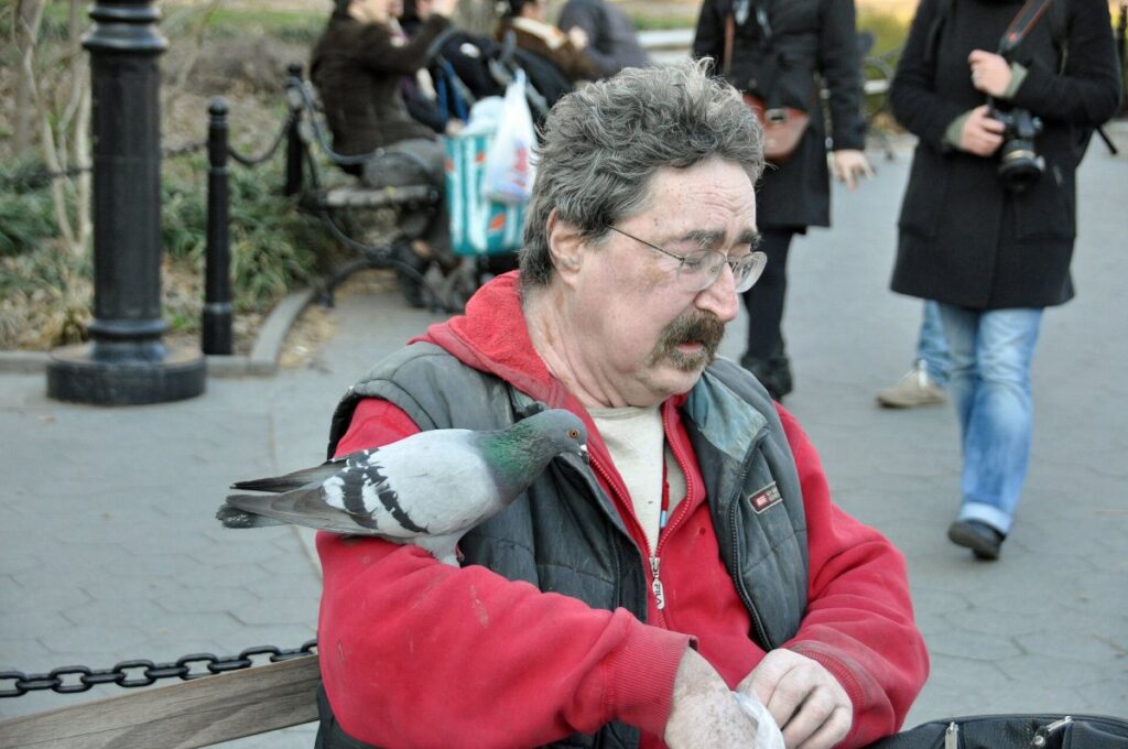 Bandada de palomas en una plaza con personas caminando