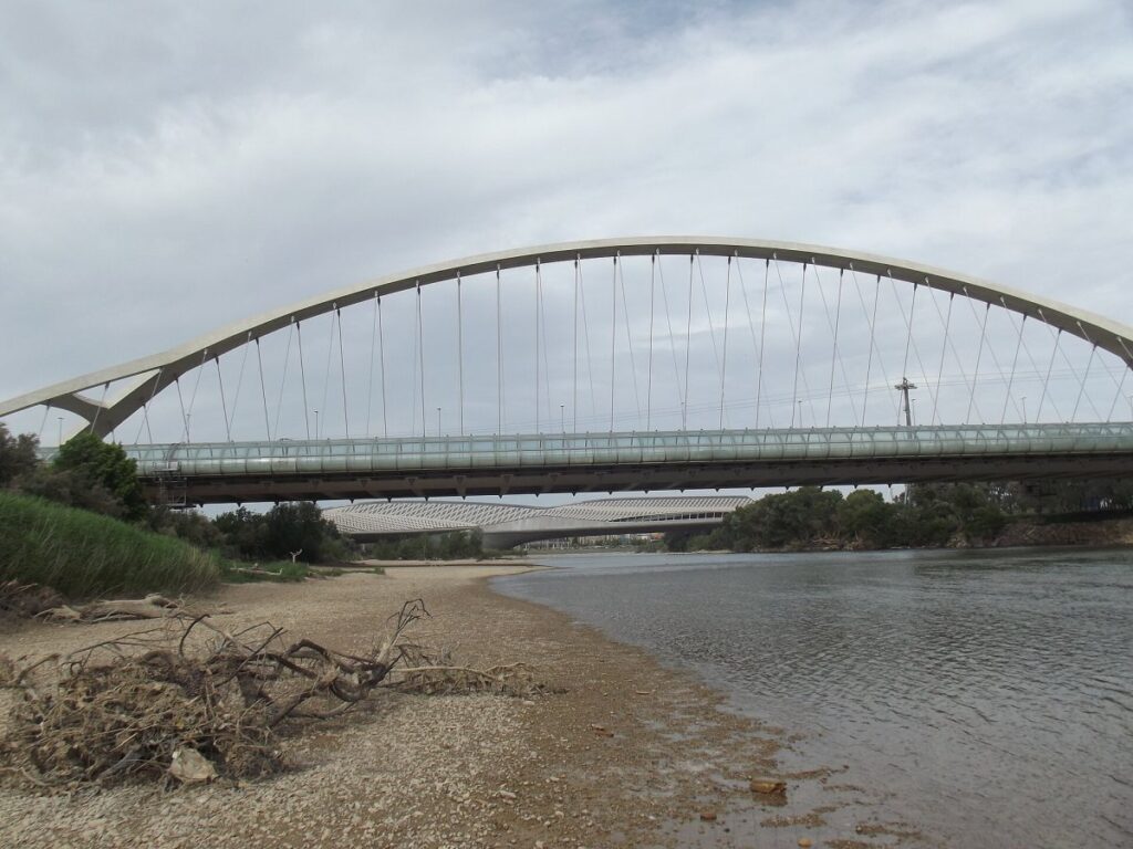 Vista del río Ebro con su cauce ancho y vegetación en la orilla